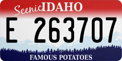ID license plate E263707