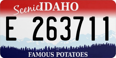 ID license plate E263711
