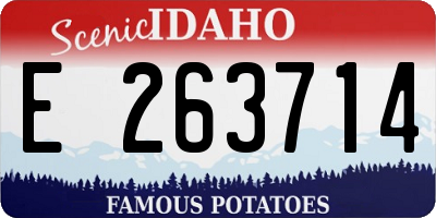 ID license plate E263714