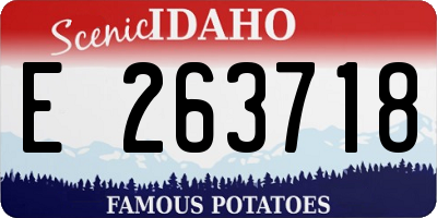 ID license plate E263718