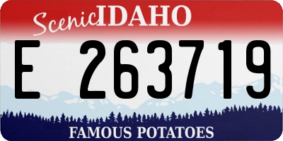 ID license plate E263719