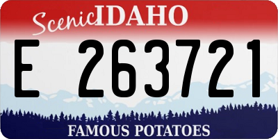 ID license plate E263721
