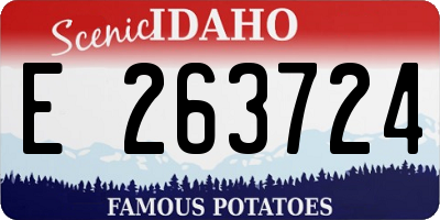 ID license plate E263724