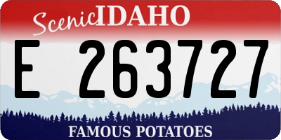 ID license plate E263727