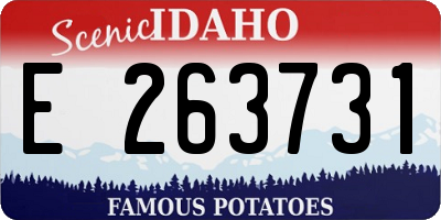 ID license plate E263731
