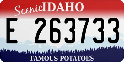 ID license plate E263733