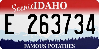 ID license plate E263734
