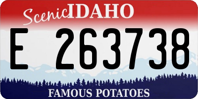 ID license plate E263738