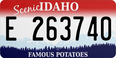 ID license plate E263740