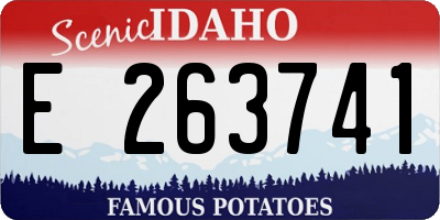 ID license plate E263741