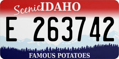 ID license plate E263742