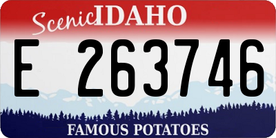ID license plate E263746