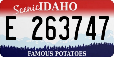 ID license plate E263747