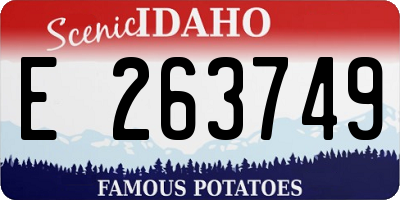 ID license plate E263749