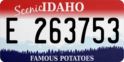 ID license plate E263753