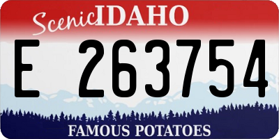 ID license plate E263754