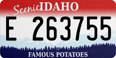 ID license plate E263755