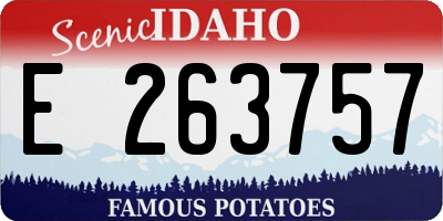 ID license plate E263757