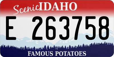 ID license plate E263758