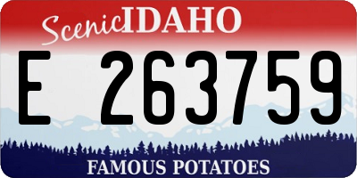 ID license plate E263759