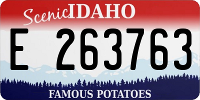 ID license plate E263763