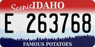 ID license plate E263768