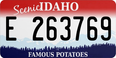 ID license plate E263769