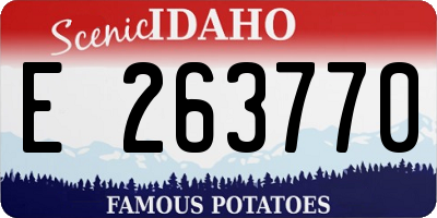 ID license plate E263770