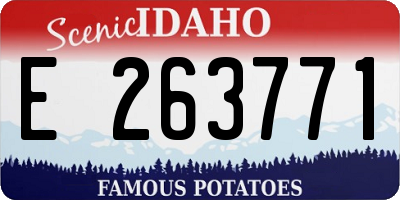 ID license plate E263771