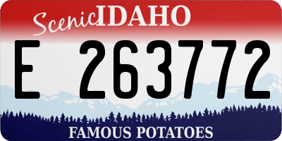ID license plate E263772