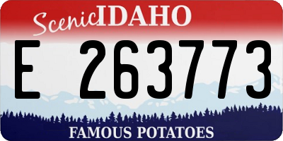 ID license plate E263773
