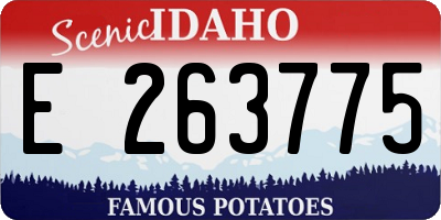 ID license plate E263775