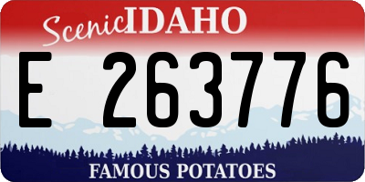 ID license plate E263776