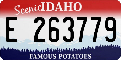 ID license plate E263779