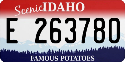 ID license plate E263780