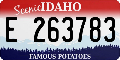 ID license plate E263783
