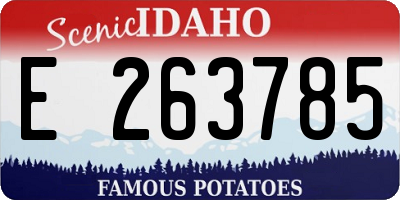ID license plate E263785