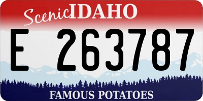 ID license plate E263787