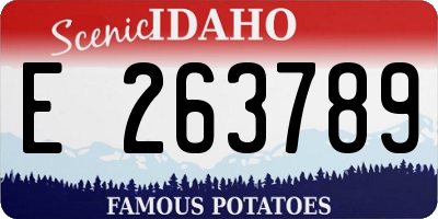 ID license plate E263789