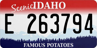 ID license plate E263794