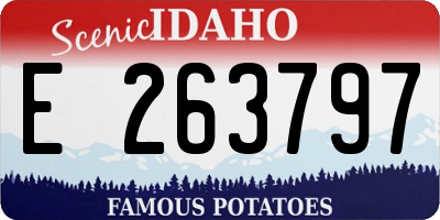 ID license plate E263797