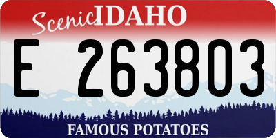 ID license plate E263803