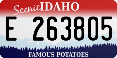 ID license plate E263805