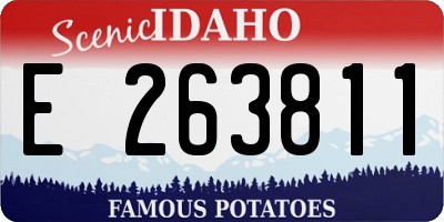 ID license plate E263811