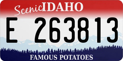 ID license plate E263813