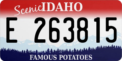 ID license plate E263815