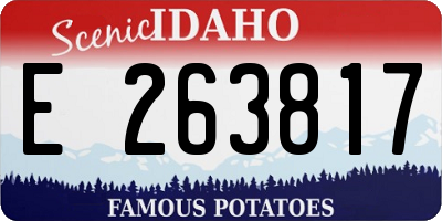 ID license plate E263817