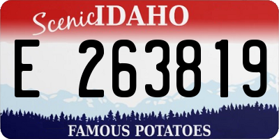 ID license plate E263819