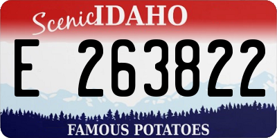 ID license plate E263822