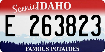 ID license plate E263823
